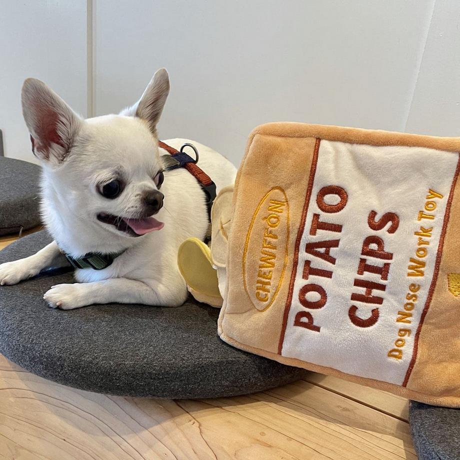 Activity-board  Jouet interactif d'intelligence pour chiots et chiens 