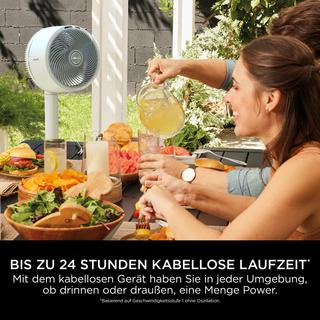 Shark FA220CH FlexBreeze Ventilator  