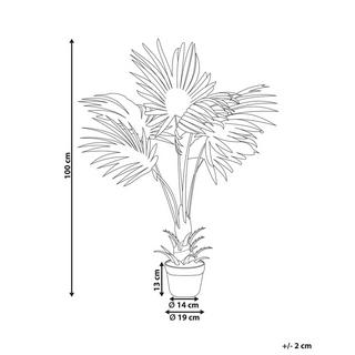 Beliani Pianta artificiale en Materiale sintetico FAN PALM  