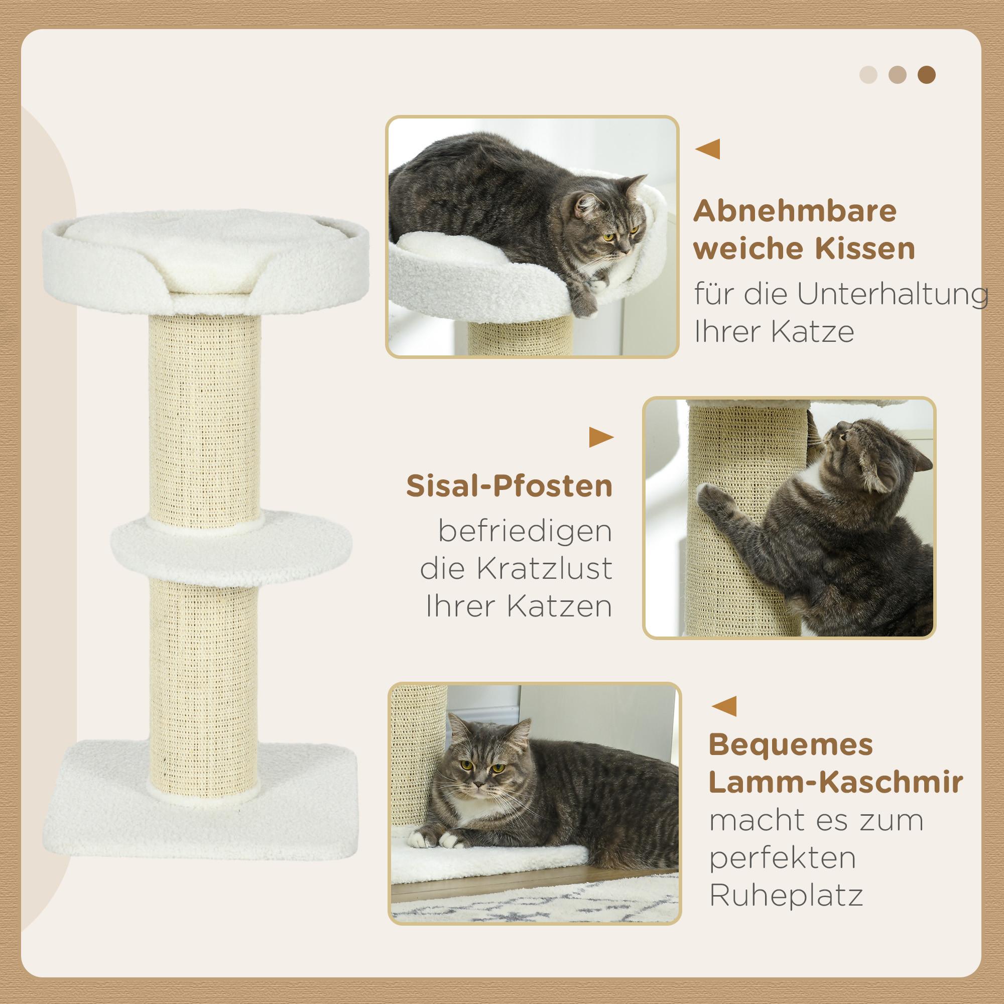 befriedigend türkisch Katze bringt Mäuse mit? Diese Reaktion ist völlig falsch