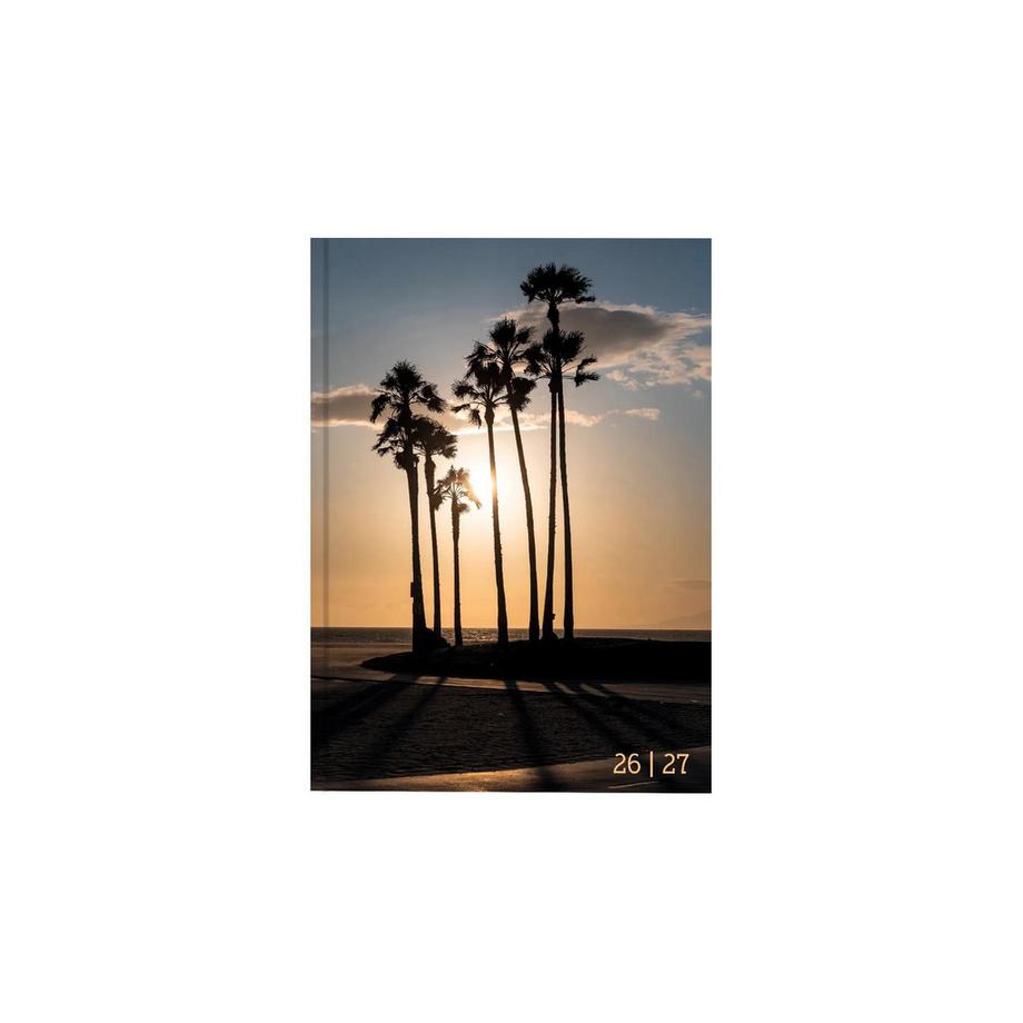 Biella Agenda scolaire mydiary 1 jour par page, Palms  