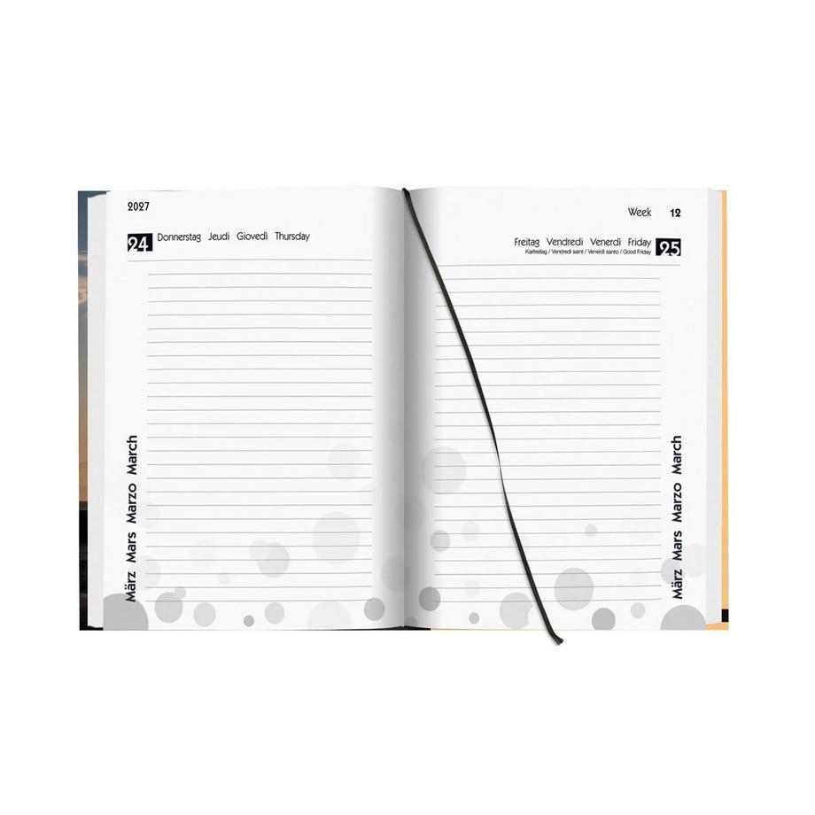Biella Agenda scolaire mydiary 1 jour par page, Palms  