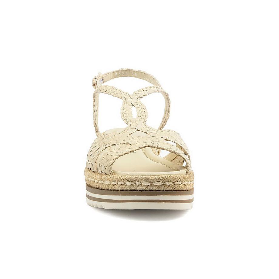 pons quintana  10834 