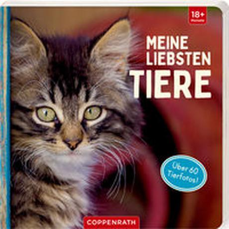 Meine liebsten Tiere Kein Autor Couverture rigide 