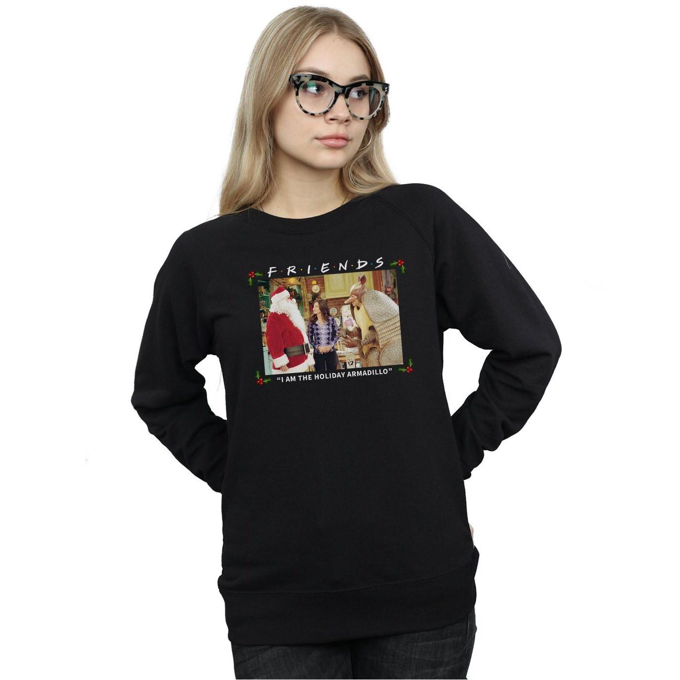 Friends  I Am The Holiday Armadillo Sweatshirt 