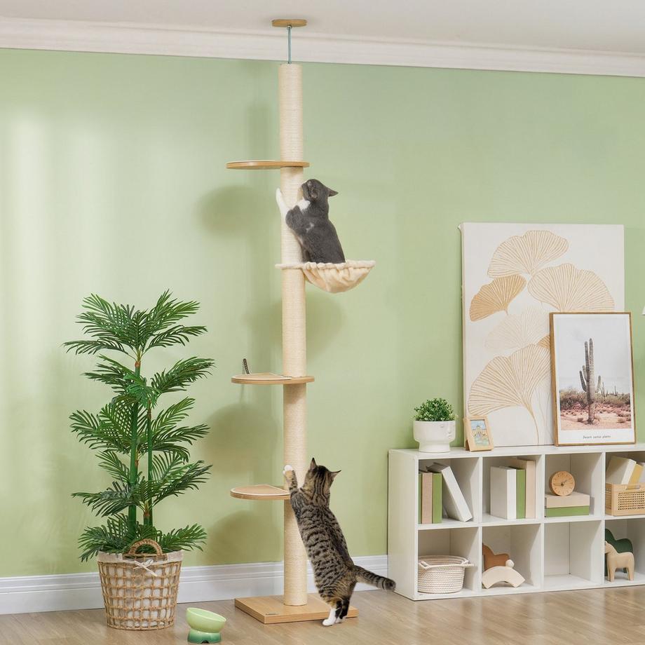 Northio  Arbre à chat, arbre à chat haut plafond, 230-250 cm, arbre à grimper avec hamac, arbre à chat réglable en hauteur, arbre de jeu avec protection des pointes, peluche, chêne + blanc crème 