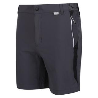 Regatta  Mountain II Shorts 