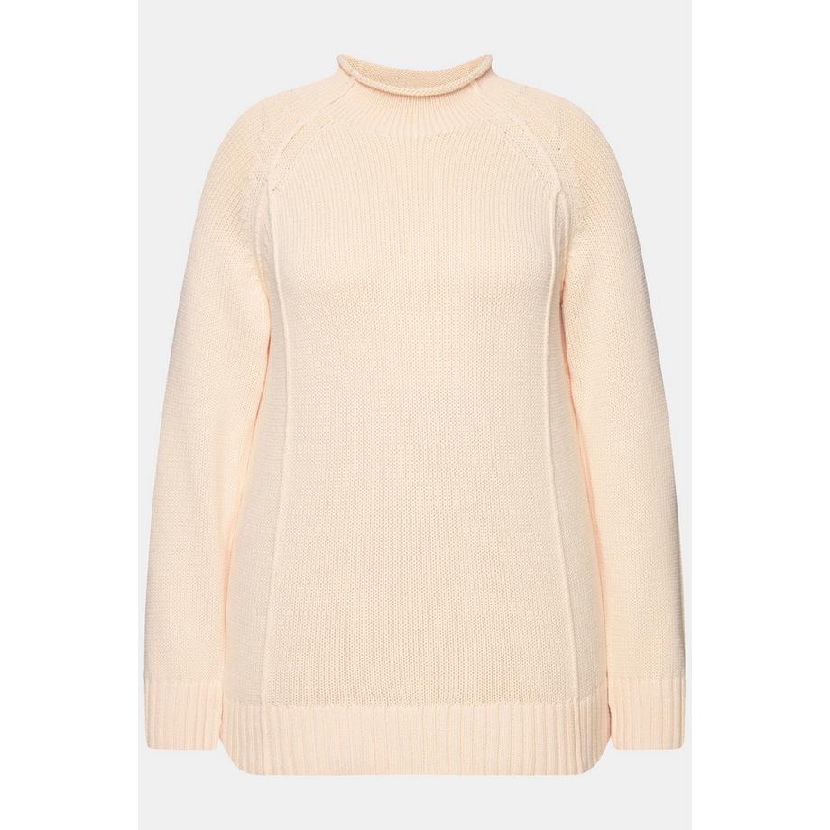 Ulla Popken Pullover Cuciture Decorative Collo Alto Maniche Lunghe  
