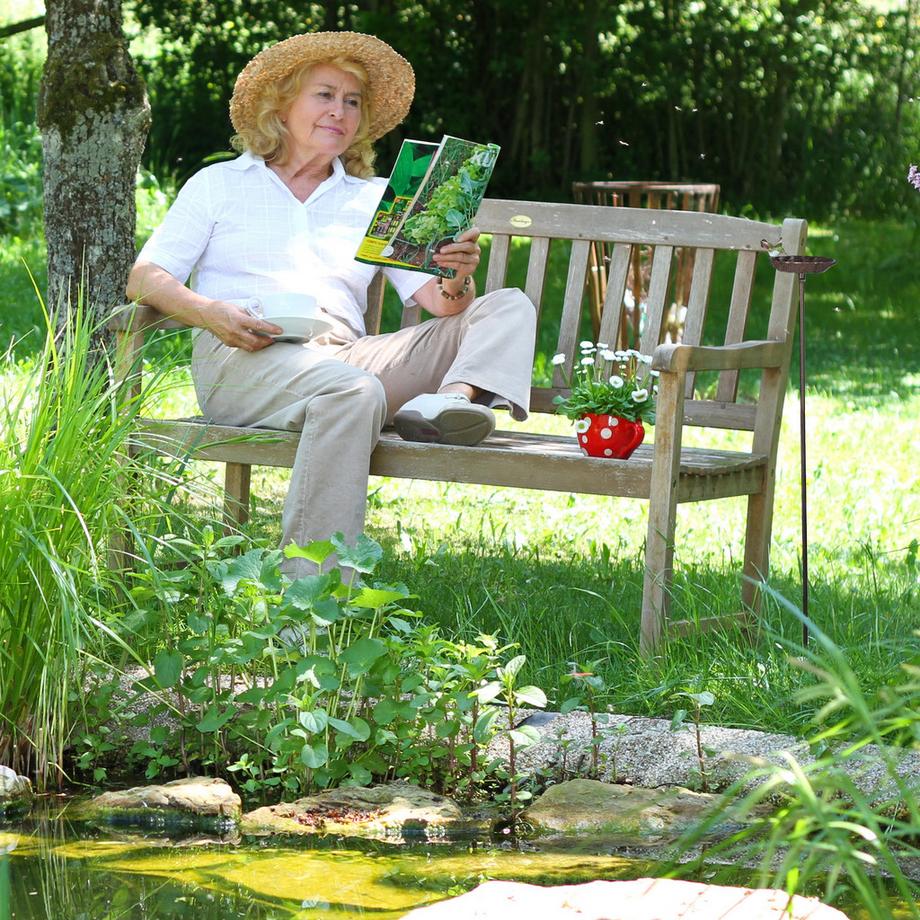 B2X  Vogelbad aus Gusseisen mit Erdspieß 