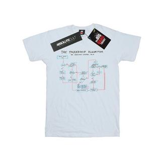 The Big Bang Theory  Friendship Algorithm TShirt 