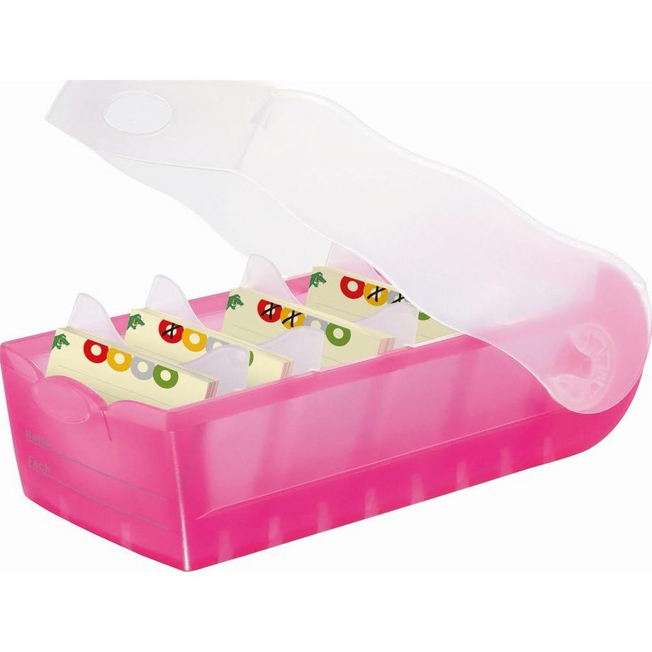 HAN Karteibox Croco  