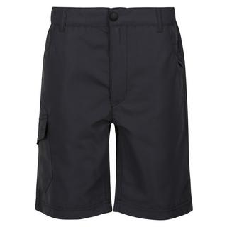 Regatta  Sorcer II Shorts 