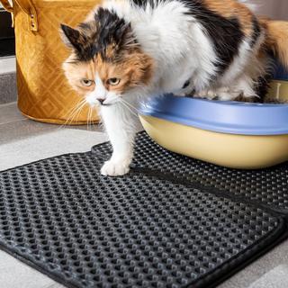 InnovaGoods Tapis de sable pour chat - noir - 60 x 43 cm  