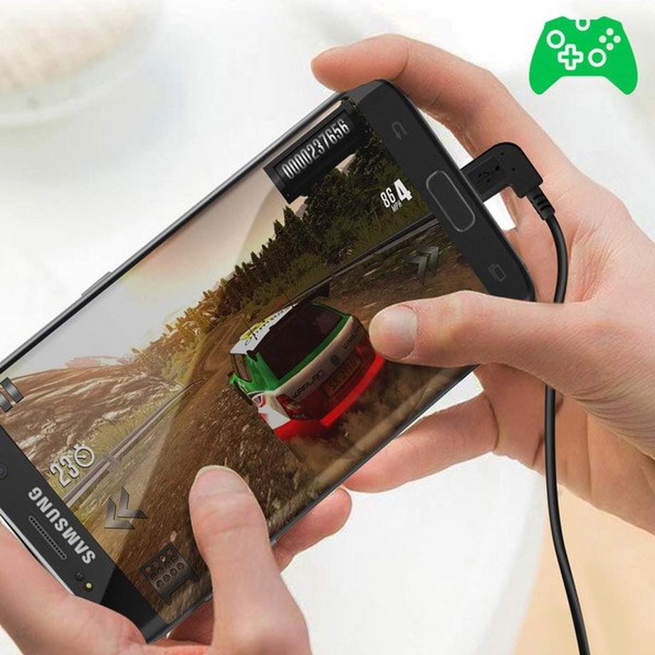 Avizar  USB-C / Micro USB Adapterkabel Schwarz 