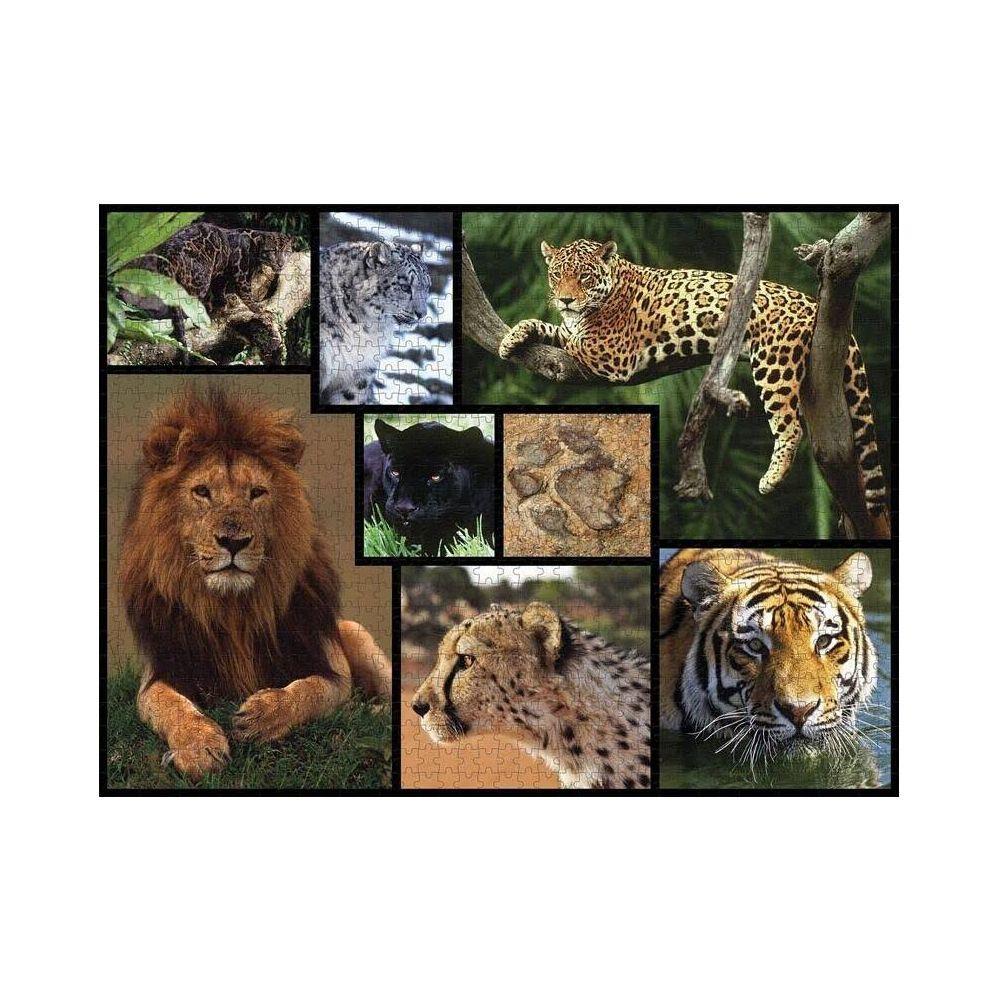 Ambassador  Puzzle Wildkatzen (1000Teile) 