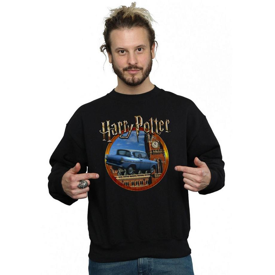Harry Potter Auto Volante Felpa  