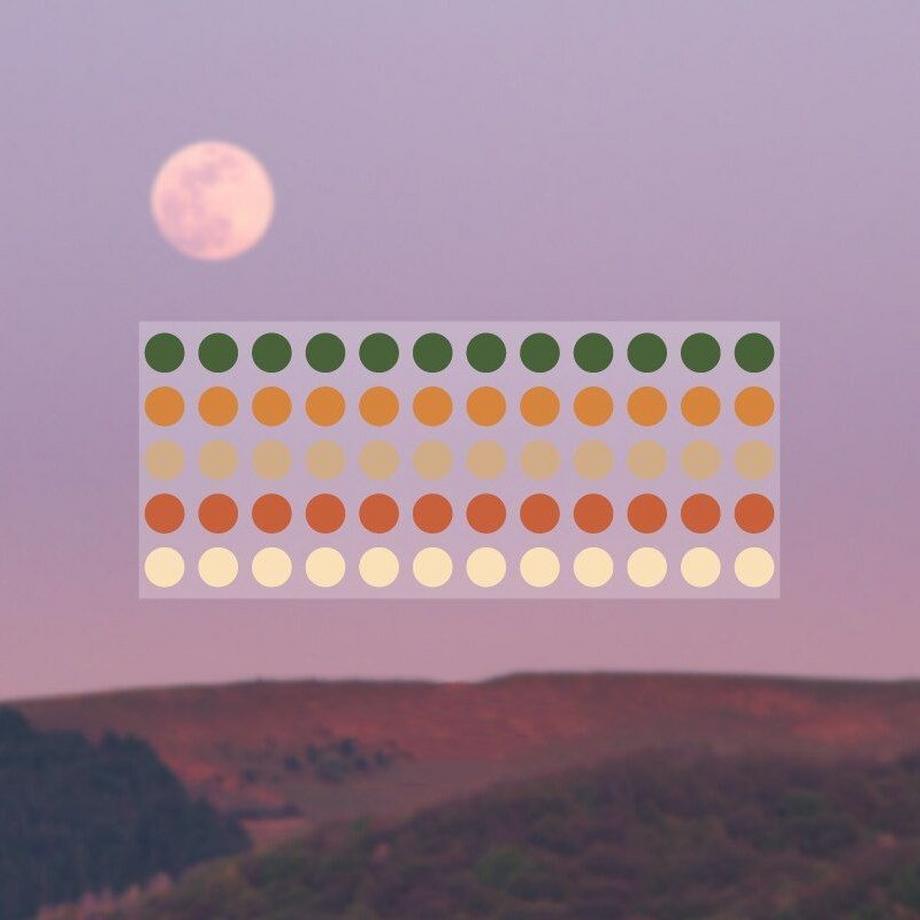 Northio Rotolo con adesivi: punti in diversi colori  