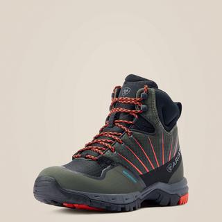 Solaris scarpe store
