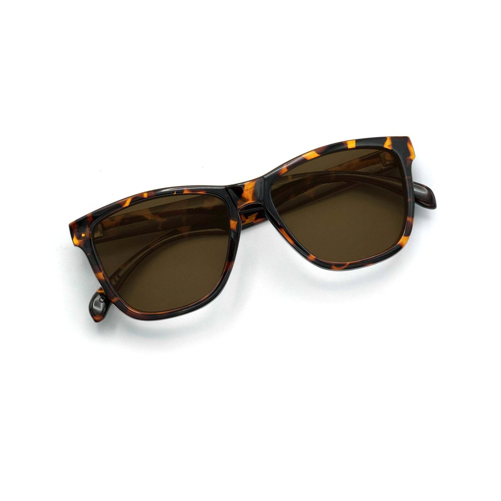 Nectar Chucktown Sonnenbrille  