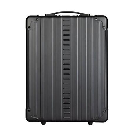 Aleon Zaino ibrido 17  