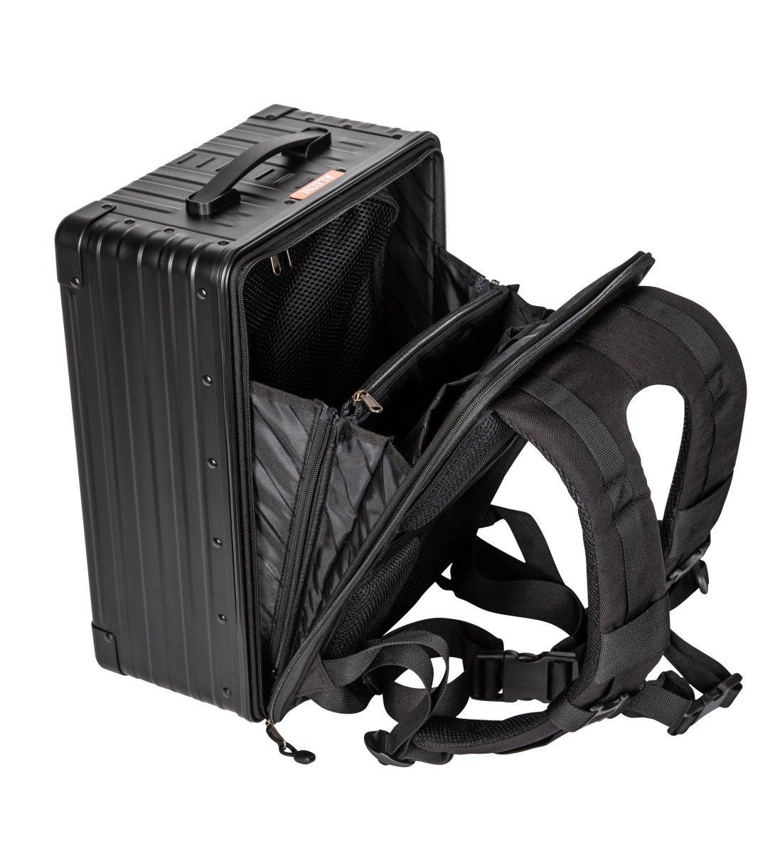 Aleon Zaino ibrido 17  