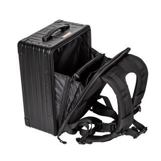 Aleon Zaino ibrido 17  