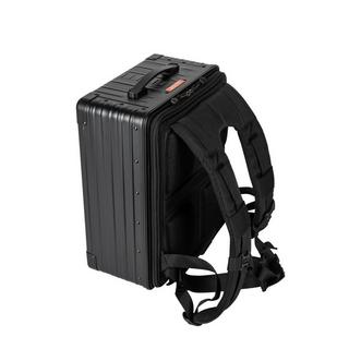 Aleon Zaino ibrido 17  