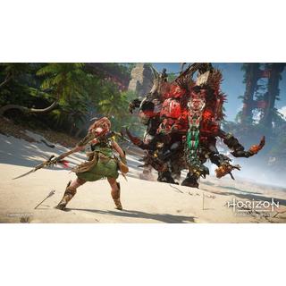 SONY  PS5 Horizon Forbidden West 