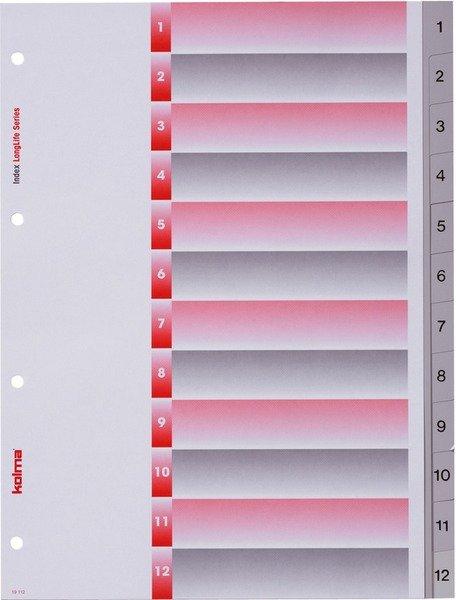 Kolma  KOLMA Register Longlife A4 19.112.03 grau, 12-teilig 