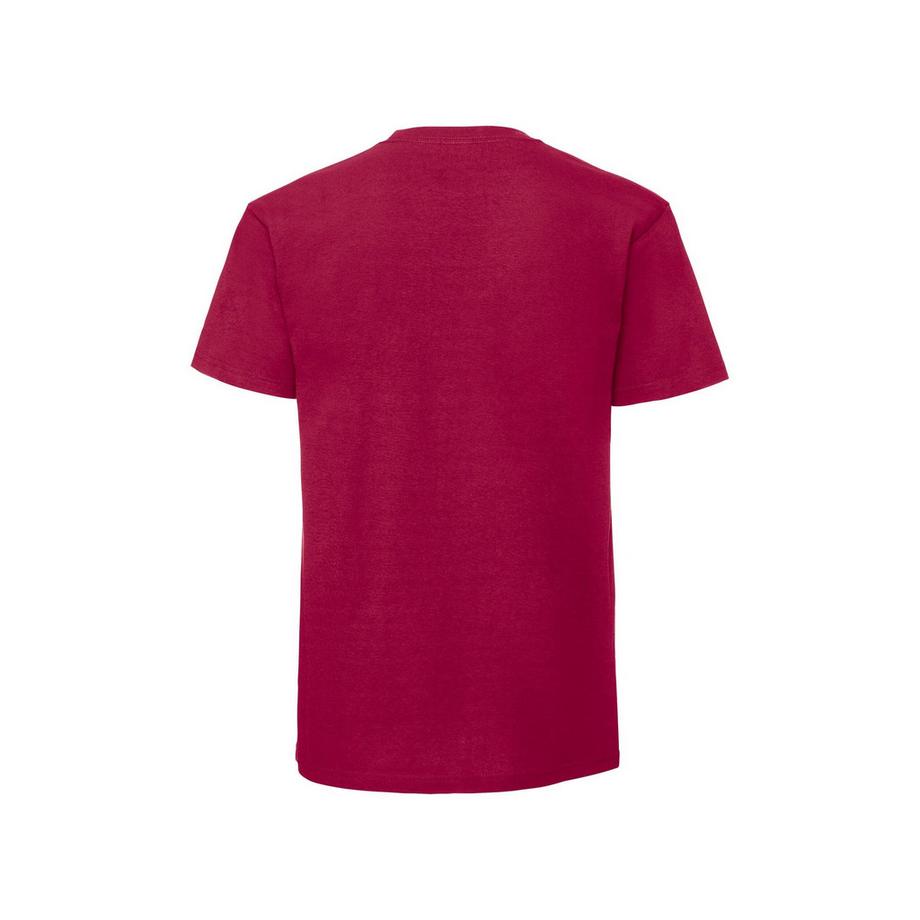 Fruit of the Loom Iconic Premium T-Shirt  