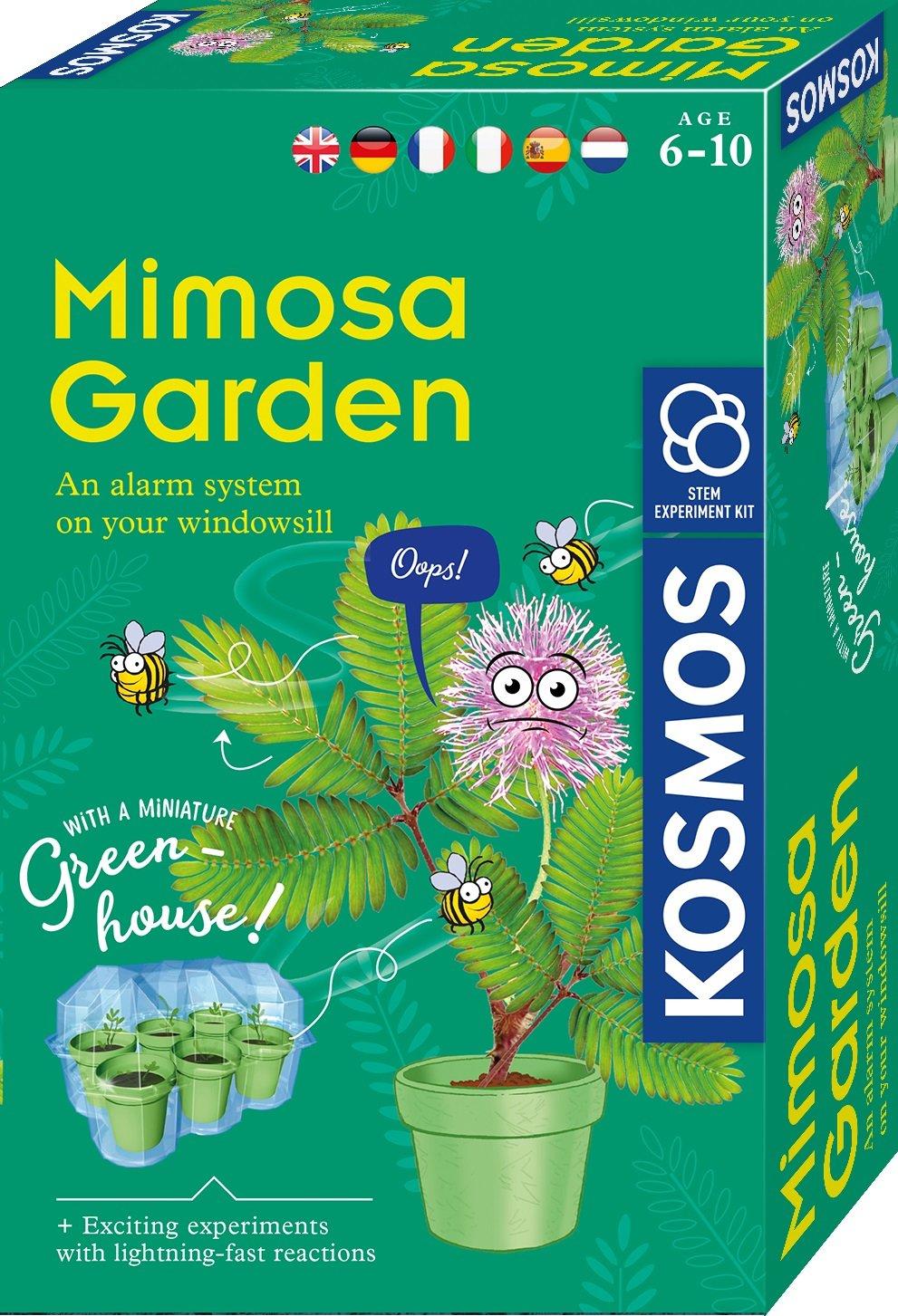 Kosmos  Kosmos Mimosa Garden 