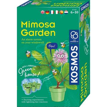 Kosmos Mimosa Garden