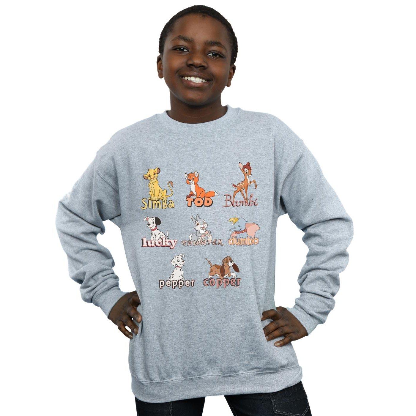 Disney  Little Friends Sweatshirt 