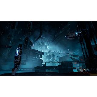 Perpertual  Steel Seed 