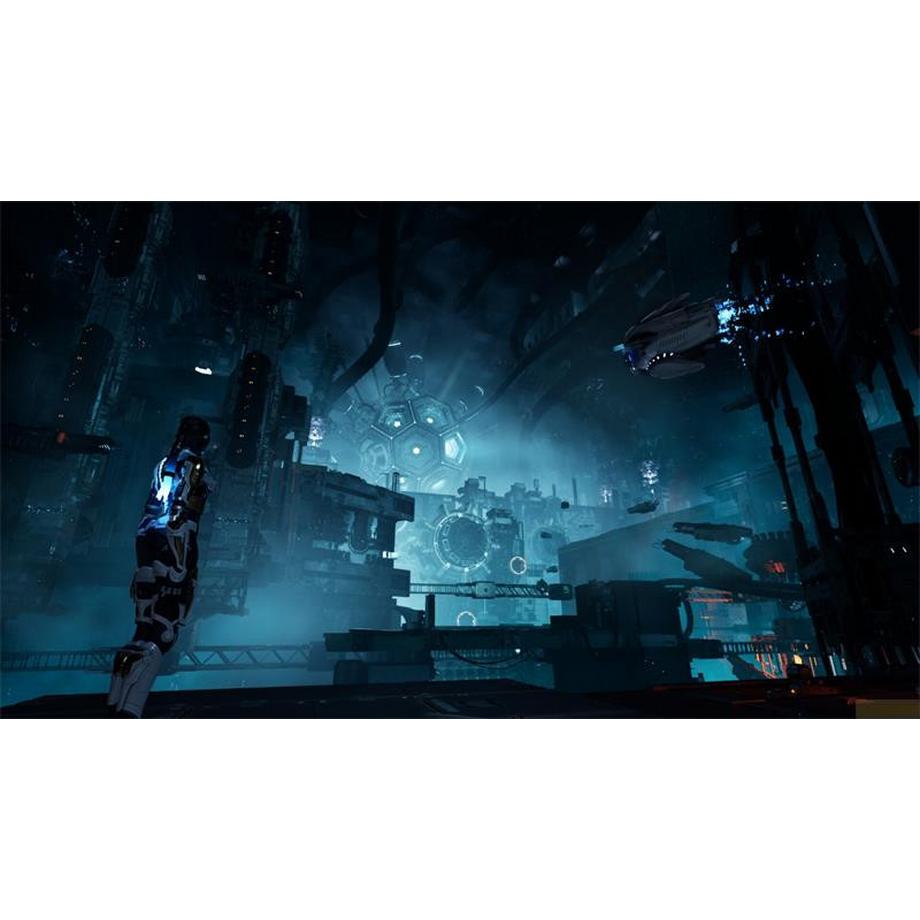 Perpertual  Steel Seed 