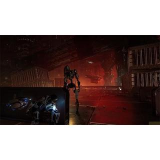 Perpertual  Steel Seed 