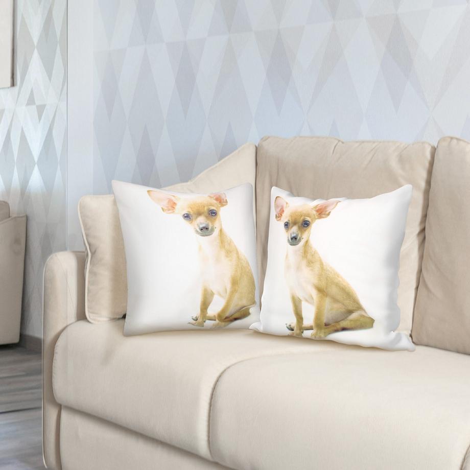 Avizar 2 Stk. Kissenbezüge Chihuahua  
