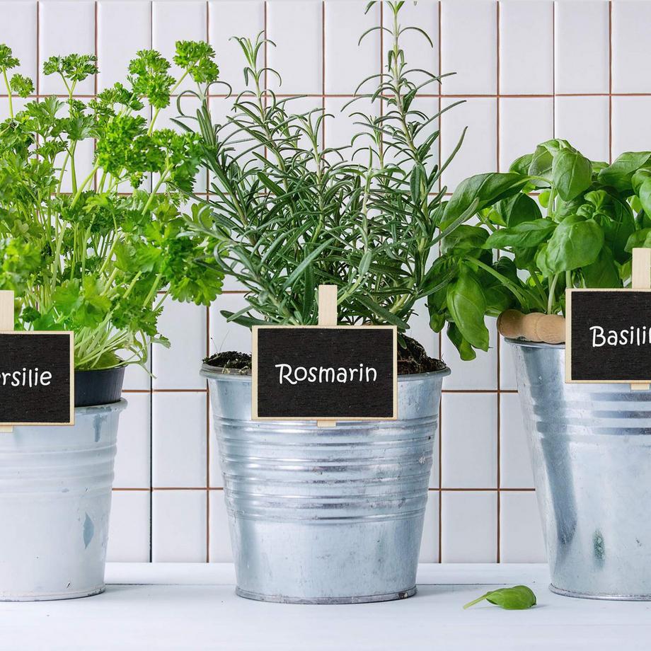 B2X 20 morsetti per assi di legno  