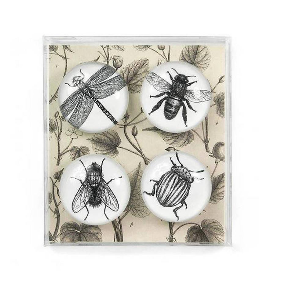 trendform EYE-Magnete BUG 4er Set  