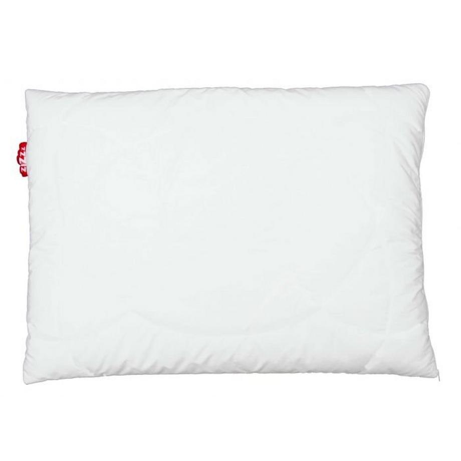 Zizzz Oreiller Duvet de Canard Bio Nomite & Downpass  