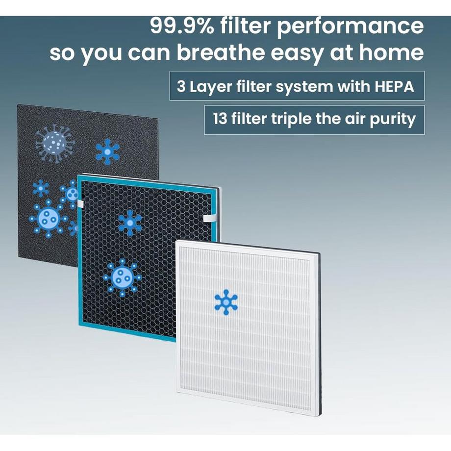 beurer Filtre de rechange HEPA LR 200/210 filtre H13  