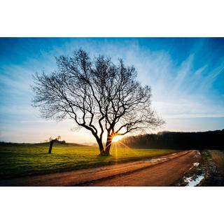 Venus Optic  FESTBRENNWEITE LAOWA 9MM F/2.8 ZERO-D SONY E 