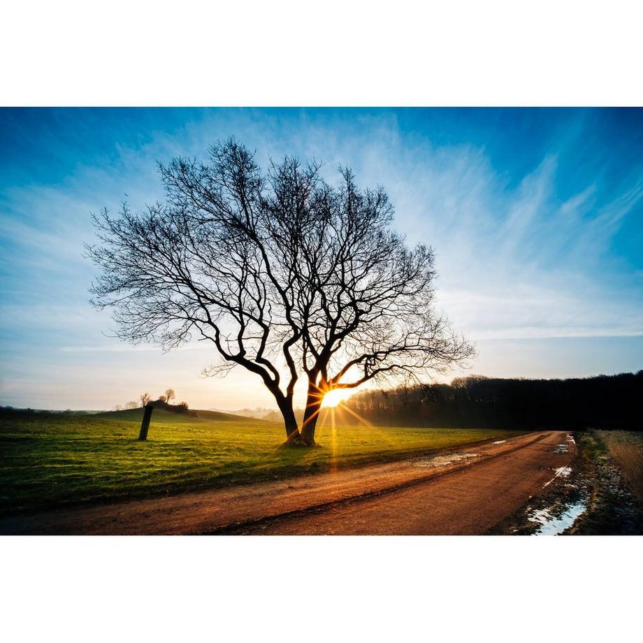 Venus Optic  FESTBRENNWEITE LAOWA 9MM F/2.8 ZERO-D SONY E 