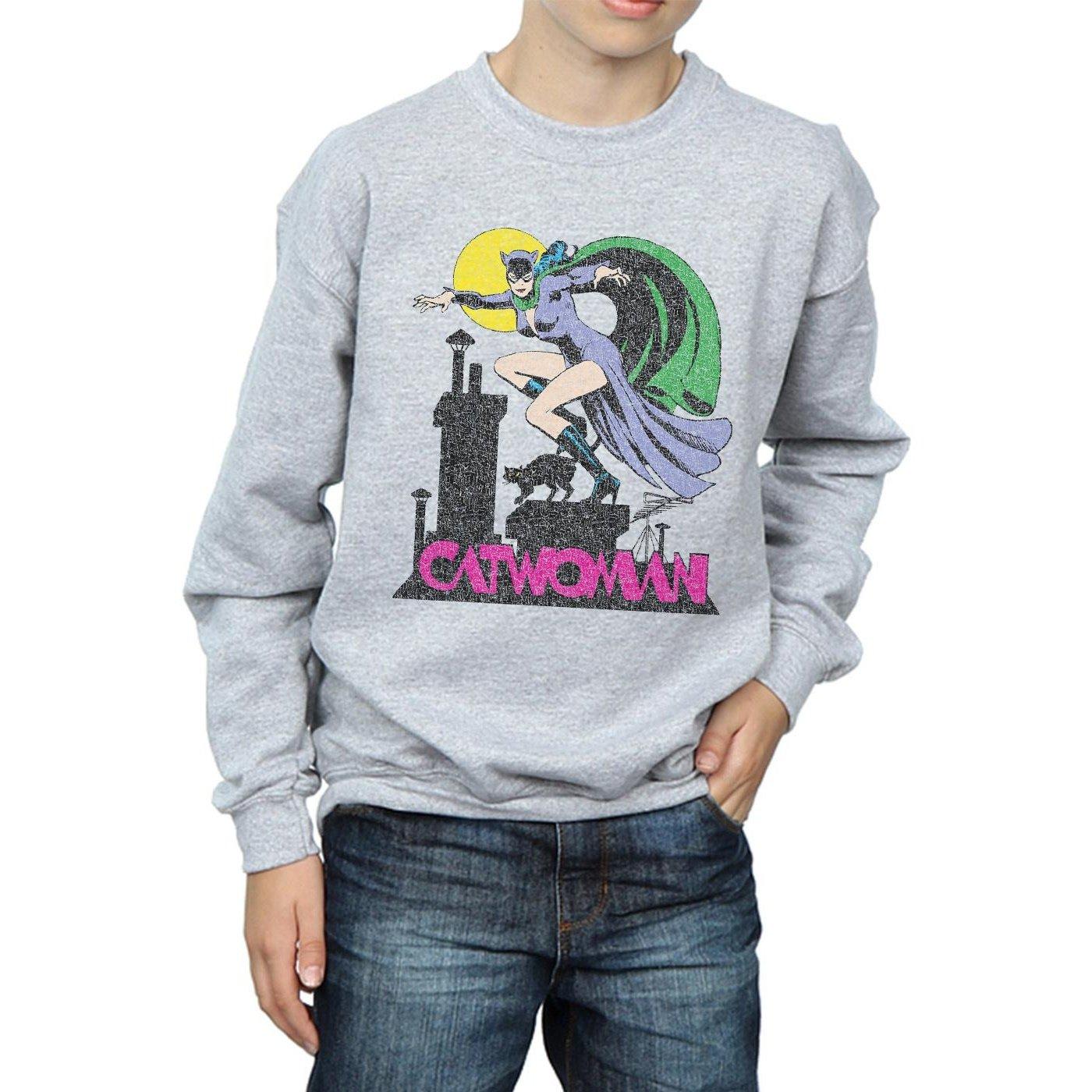 DC COMICS  Sweatshirt 