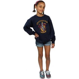 Harry Potter  Sweatshirt 