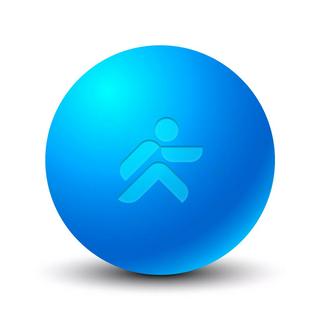 JustFit Balle de massage en ébonite Ø 6cm "Foam Ball" JustFit  