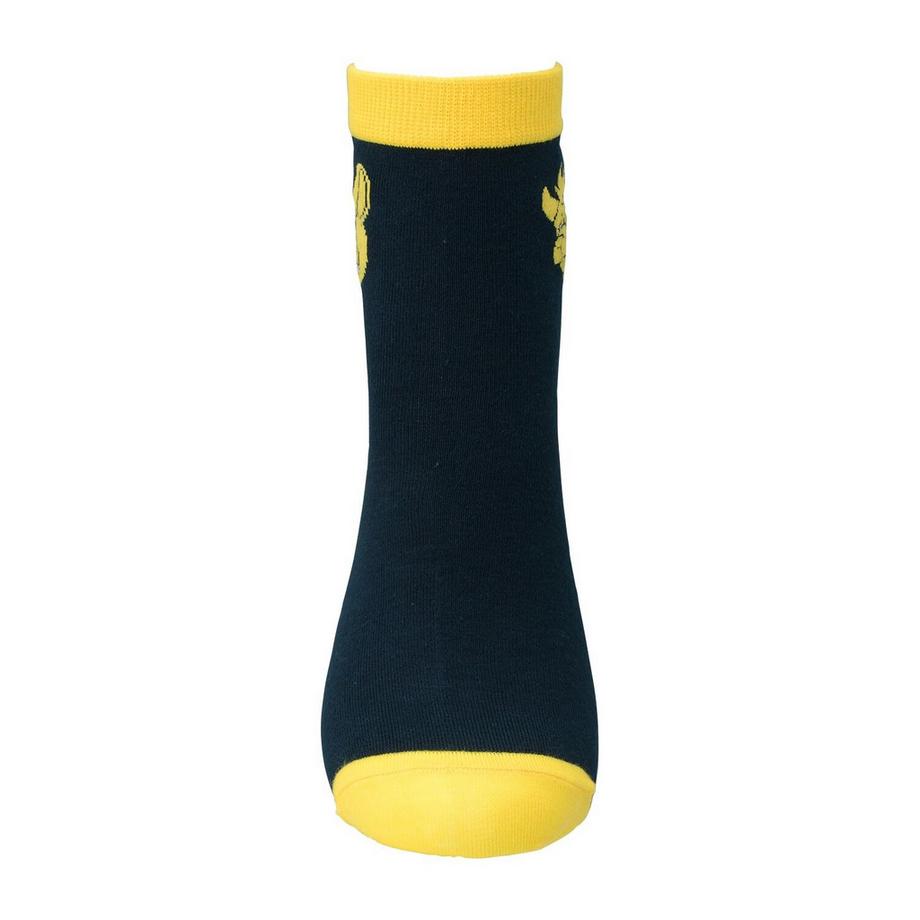 Pokémon Maschiff Calzini  