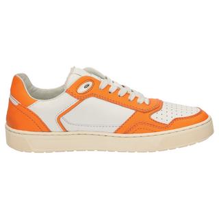 Sioux  Sneaker Tedroso-DA-700 