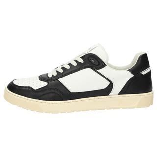 Sioux  Sneaker Tedroso-704 