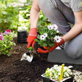 B2X Knieschoner 2er Set  